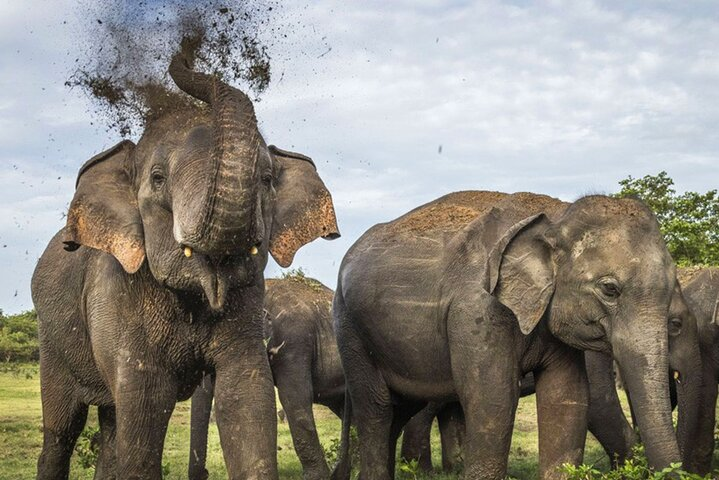 Kalwewa national park